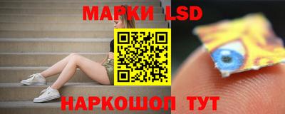 spice Владимир