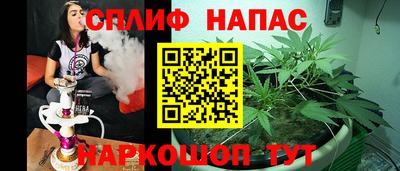 spice Владимир