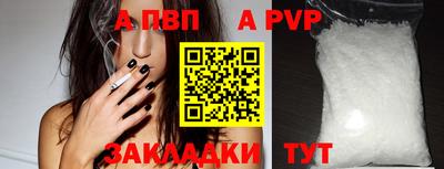 spice Владимир