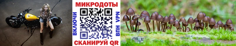 Галлюциногенные грибы мухоморы  MEGA зеркало  Одинцово 