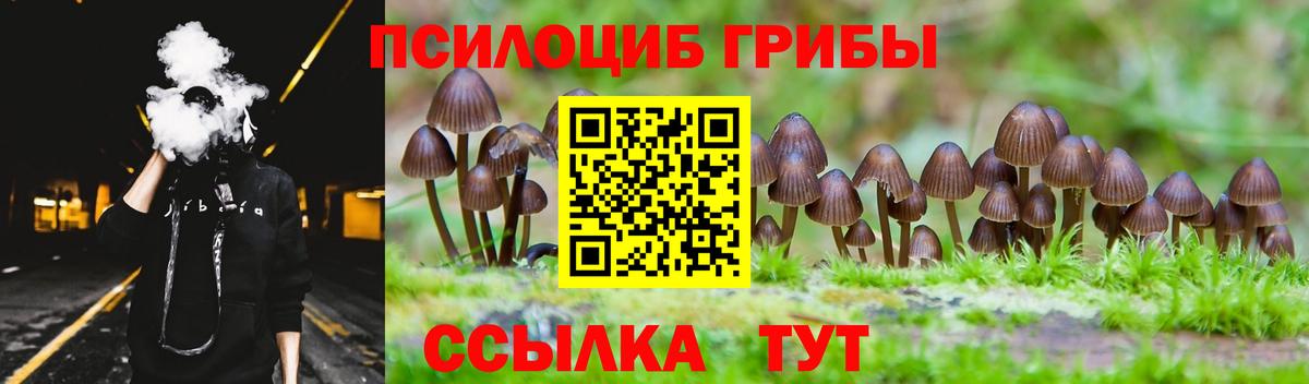 Галлюциногенные грибы мицелий  Псилоцибиновые грибы GOLDEN TEACHER  наркотики  Одинцово  Вход с VPN 